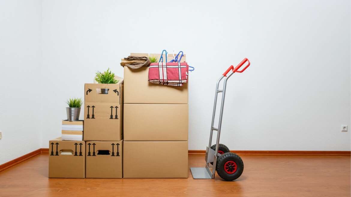 Advisory on how to pack dishes e56586946ec0e2d0acb9fa40932233f8 1170x658 1