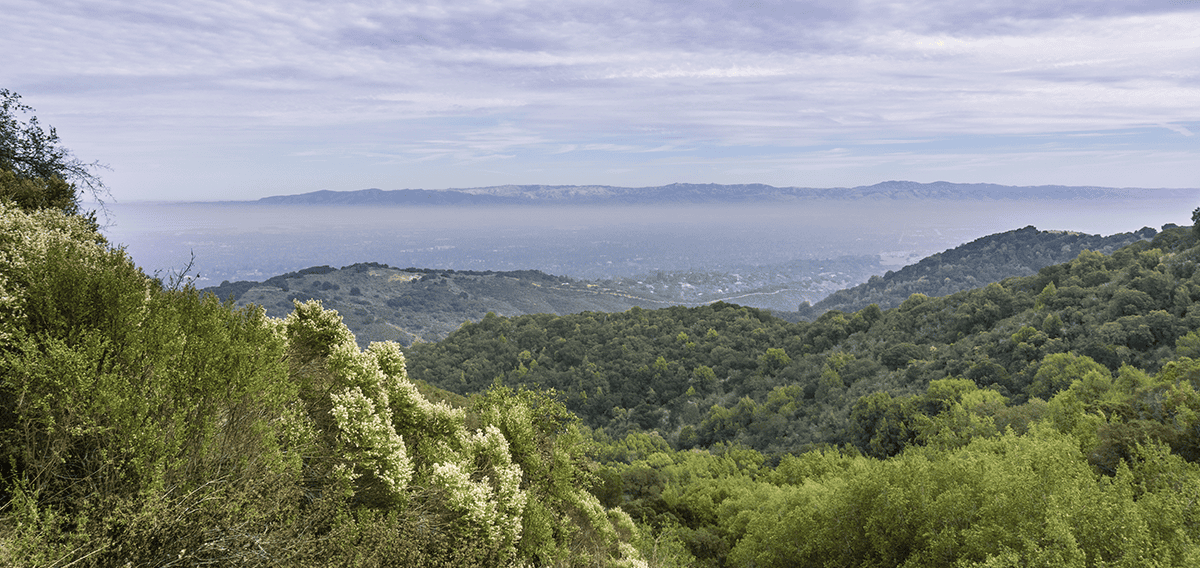 Aliso Viejo movers Aliso Viejo 1