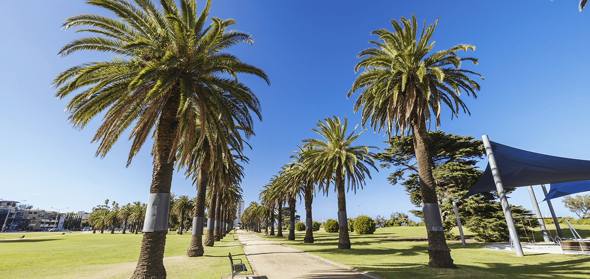 Anaheim movers Anaheim 1