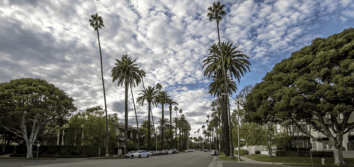 Beverly Hills movers Beverly Hills 1