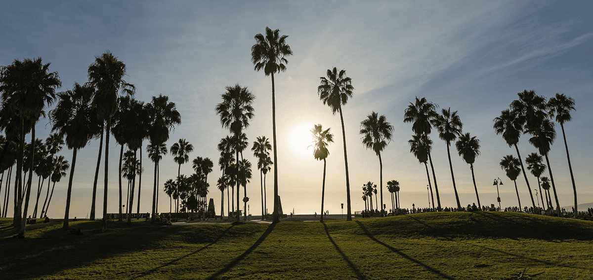 Costa Mesa movers Costa Mesa 1