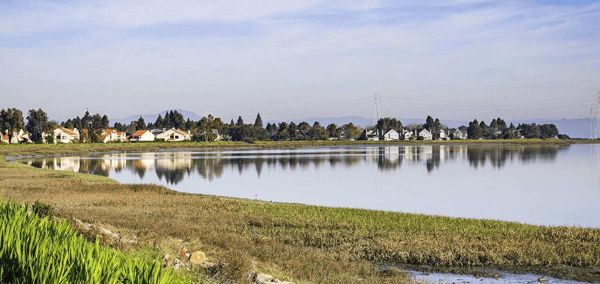 Covina movers Covina 1