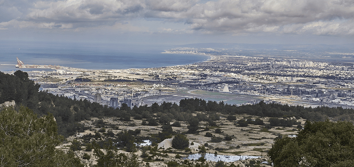 Los Altos movers Los Altos 1