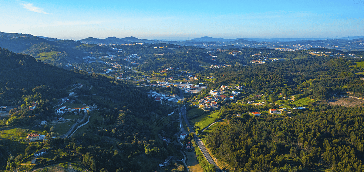 Los Gatos movers Los Gatos 1