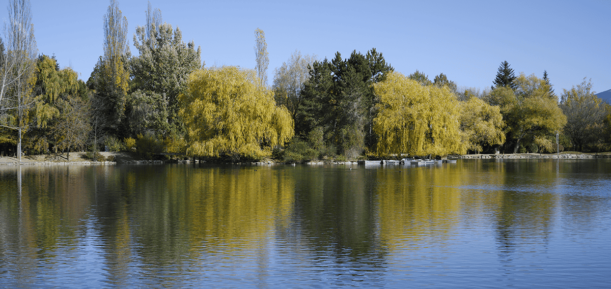 Montclair movers Montclair 1 1