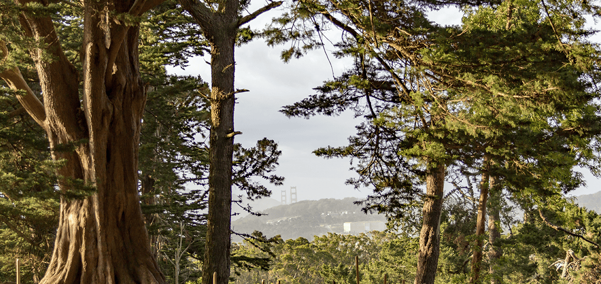 Novato movers Novato 1