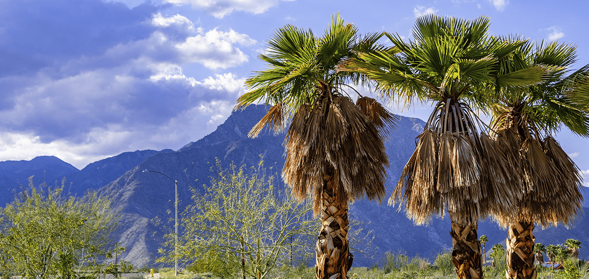 Palm Desert movers Palm Desert 1