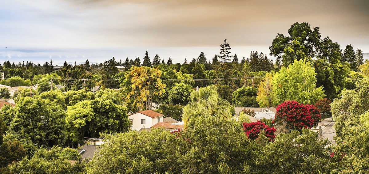 Palo Alto movers Palo Alto 1