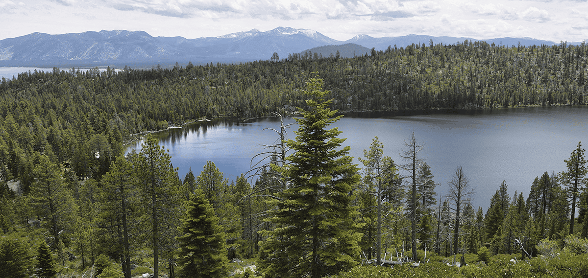 Petaluma movers Petaluma 1