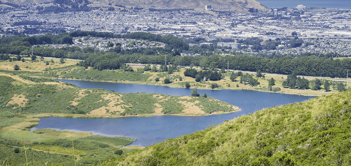 Rancho Santa Margarita movers Rancho Santa Margarita 1