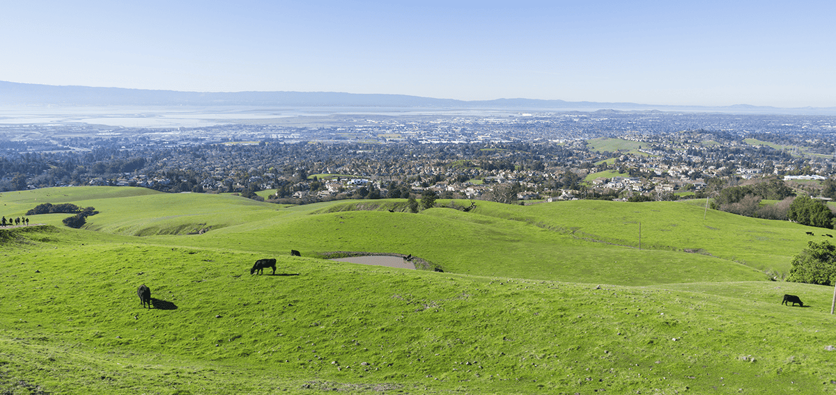 Simi Valley movers Simi Valley 1