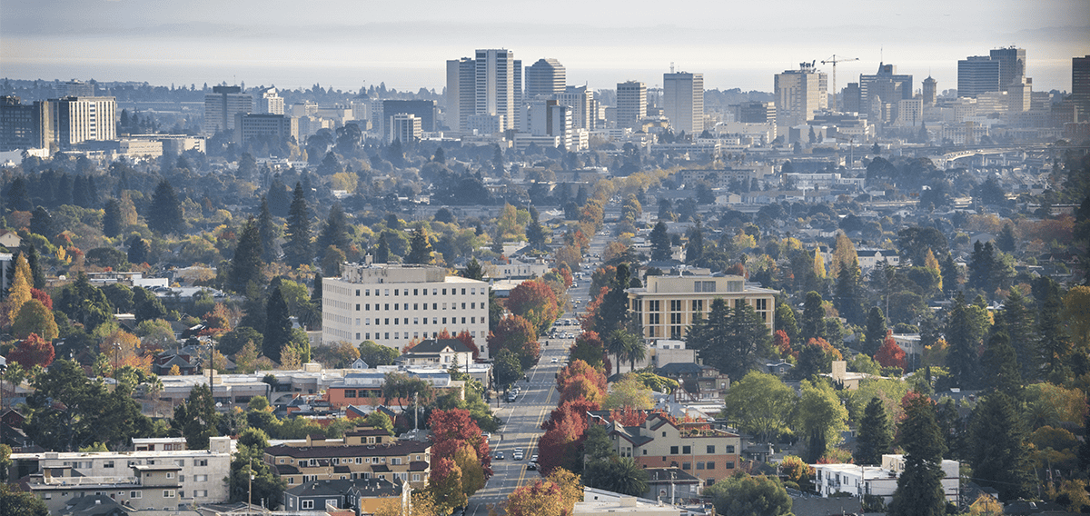 Walnut movers Walnut 1